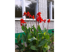����-0058.jpg