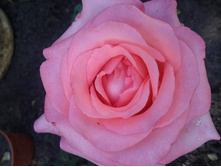 ����-0081.jpg