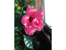 ����-0036.jpg