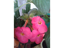 ����-0041.jpg