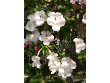 ����-0048.jpg
