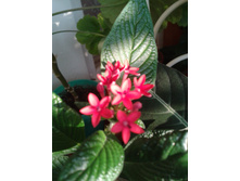 ����-0050.jpg