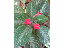 ����-0055.jpg