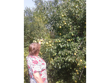 ����-0063.jpg