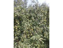 ����-0065.jpg