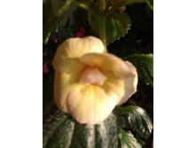 ����-0052.jpg