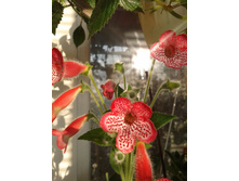 ����-0049.jpg
