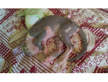 IMAG0218.jpg