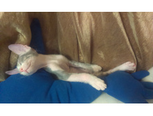 IMAG0180.jpg