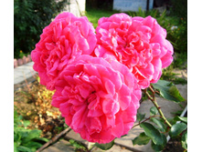 S73R5904.JPG