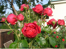 S73R5907.JPG