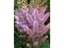 S73R5929.JPG