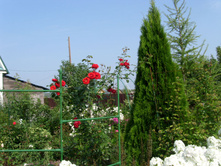 S73R5934.JPG