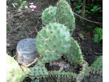 S73R5943.JPG