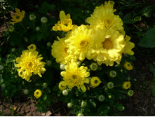 S73R5957.JPG