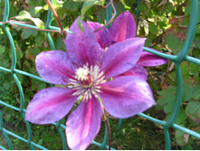 S73R5963.JPG