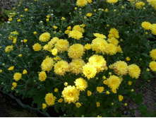 S73R5990.JPG