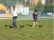 IMG_4501.JPG