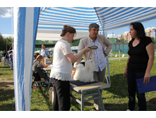 IMG_4814.JPG