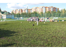 IMG_4911.JPG