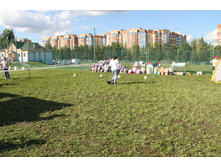 IMG_4919.JPG