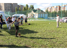 IMG_4937.JPG