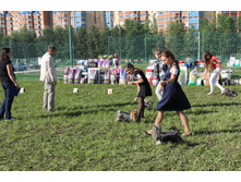 IMG_4946.JPG
