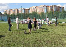 IMG_4948.JPG