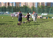 IMG_4950.JPG