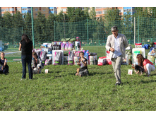 IMG_4983.JPG