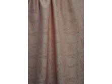 Coral23244 v������� 254���..JPG