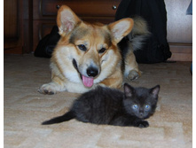 DSC_07151.JPG