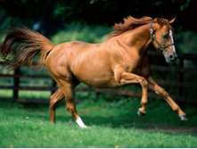 30.08.2007 10:26:00