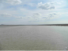 DSCN2499.JPG