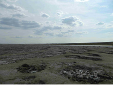 DSCN2545.JPG