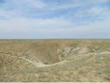 DSCN2375.JPG