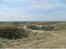 DSCN2376.JPG