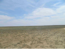 DSCN2439.JPG