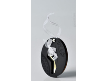 altGO_pocketMirrorBallet_Giselle_black_enl.jpg