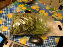 20130821_221842.jpg