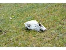 559.JPG