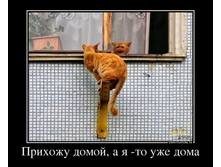 23.08.2013 10:37:50