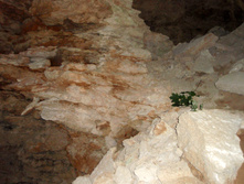 P8177454_1.jpg