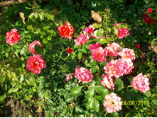 100_6586.JPG