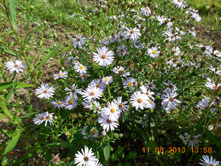DSCN0161.JPG