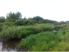 20130824_114759.jpg