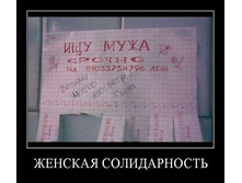 3508507.1442.jpeg