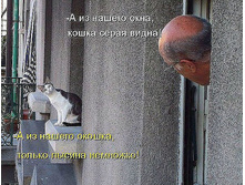 3508523.7565.jpeg
