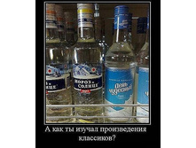 3508535.32423.jpeg
