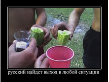 3508539.36546.jpeg